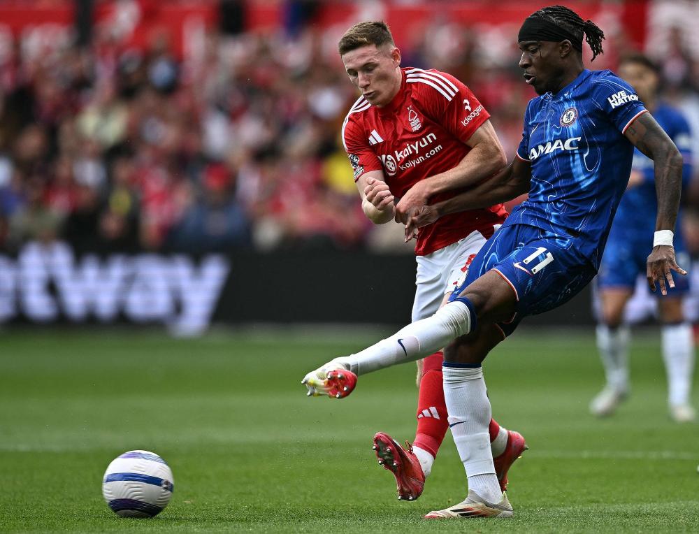 篮球篮网球迷线上投票结果揭晓