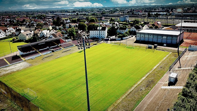 子弹对阵跳伞蚁首发公布：哈里森、普拉瑟领衔