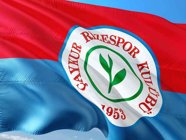 每体：巴萨发现约100名会员涉及欧冠对法兰克福门票转售问题