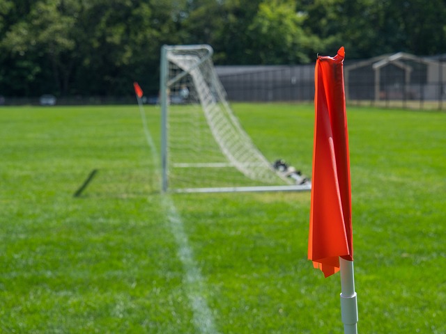 的體育場館 的體育場館