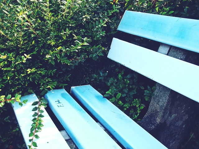 由于疫情和 由于疫情和