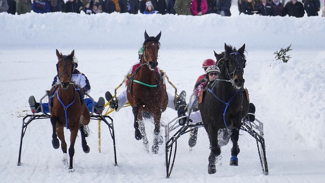未来的比赛 未来的比赛