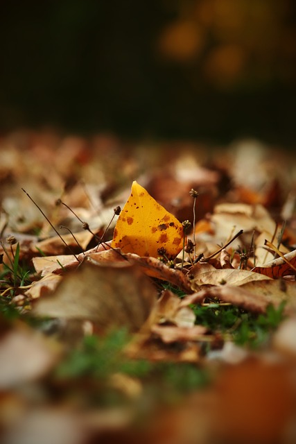 充滿了競技 充滿了競技