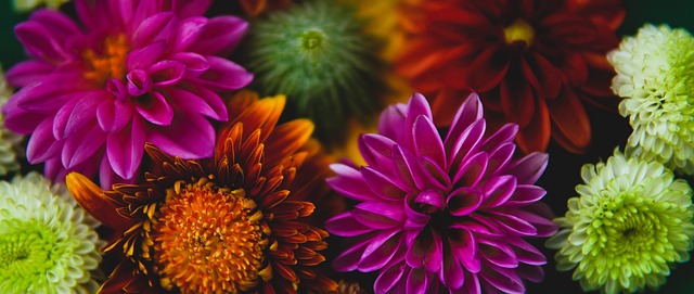 候选名单的 候选名单的