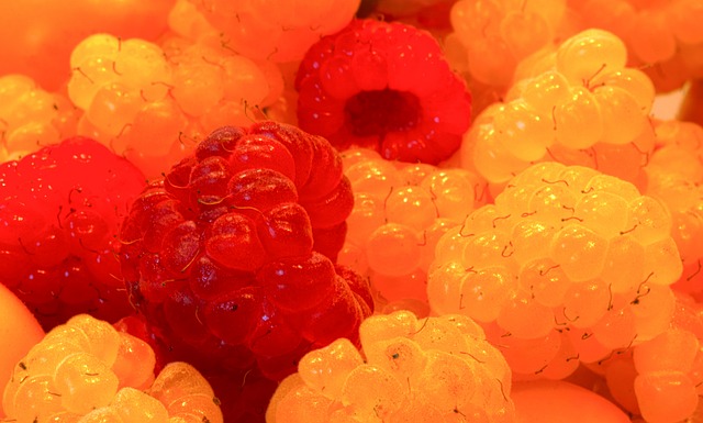 战术上的僵 战术上的僵