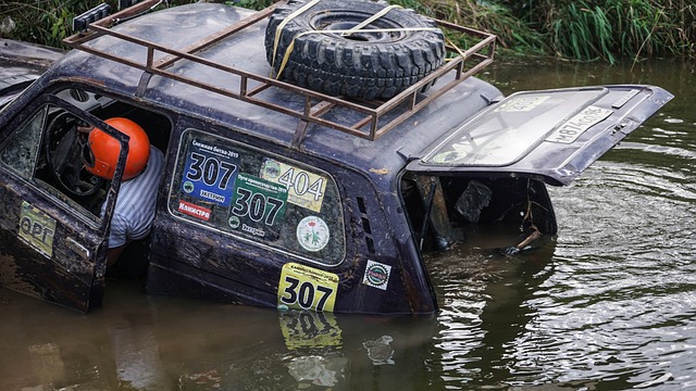 员还不足以 员还不足以