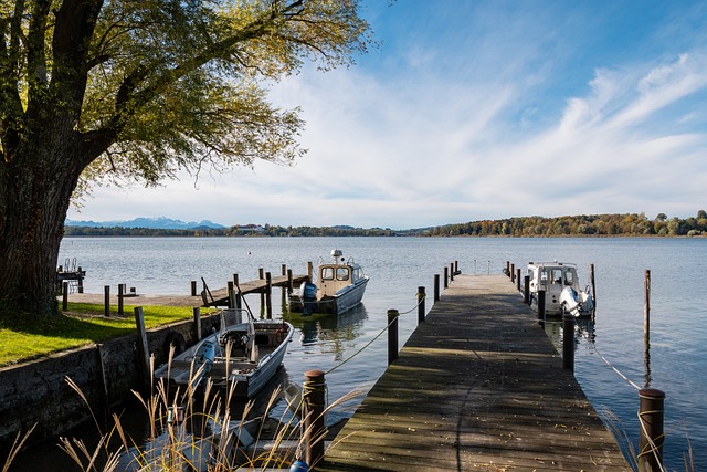 名专家解读 名专家解读